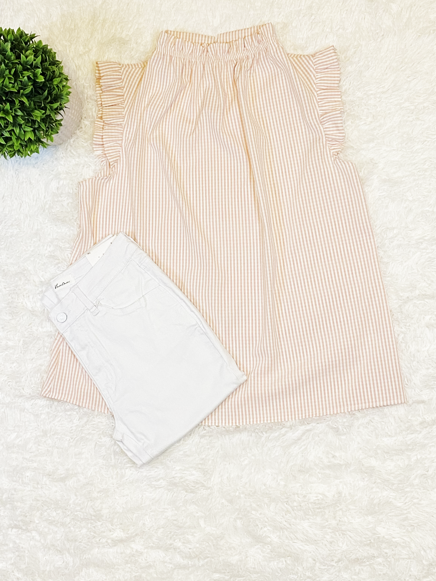Ruffled Neckline and Sleeve Top (Blush)